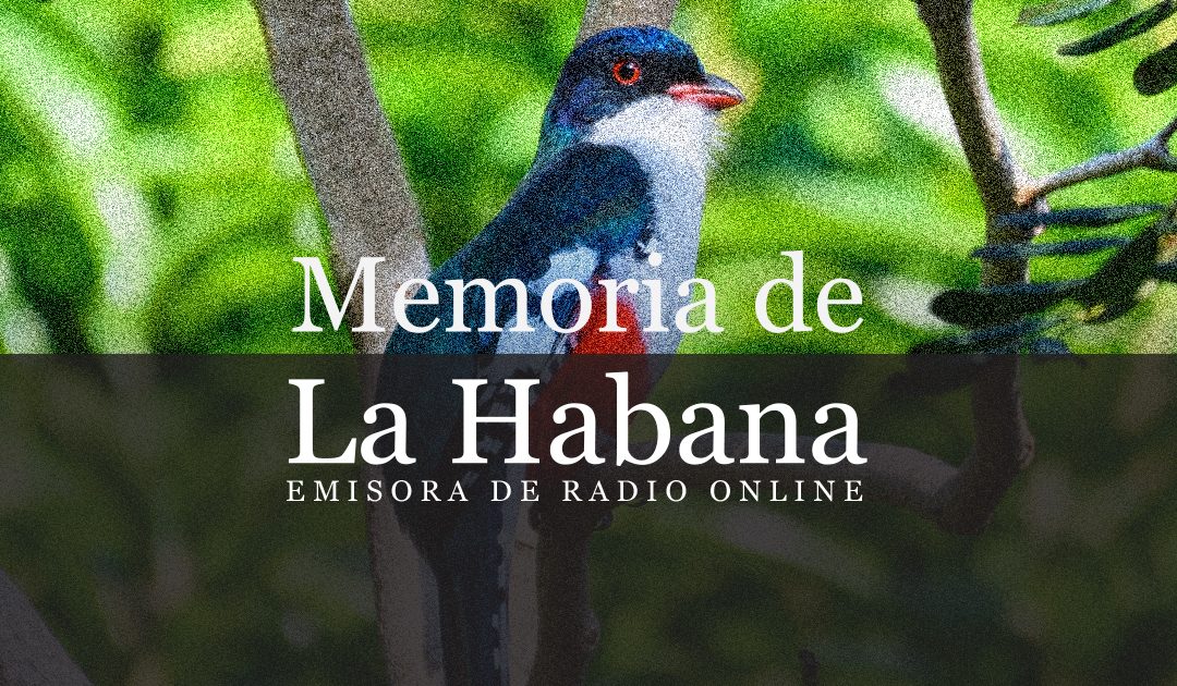 Fauna cubana